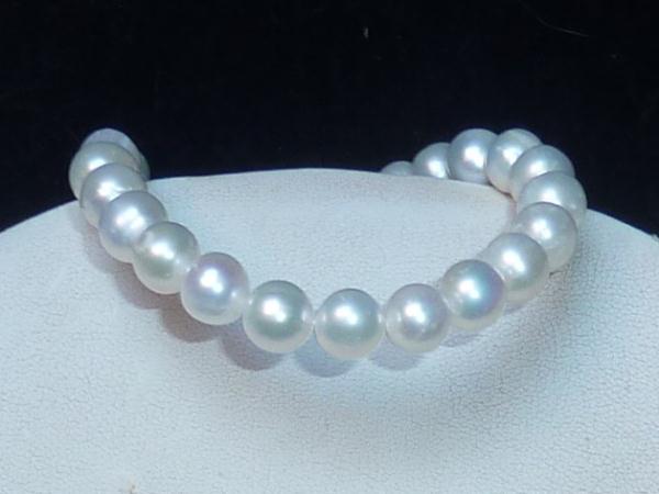 perly bílé (2404) pozlac.